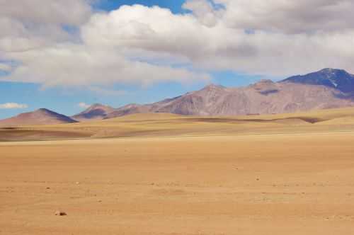 TREKKING NEL DESERTO DI ATACAMA 2015